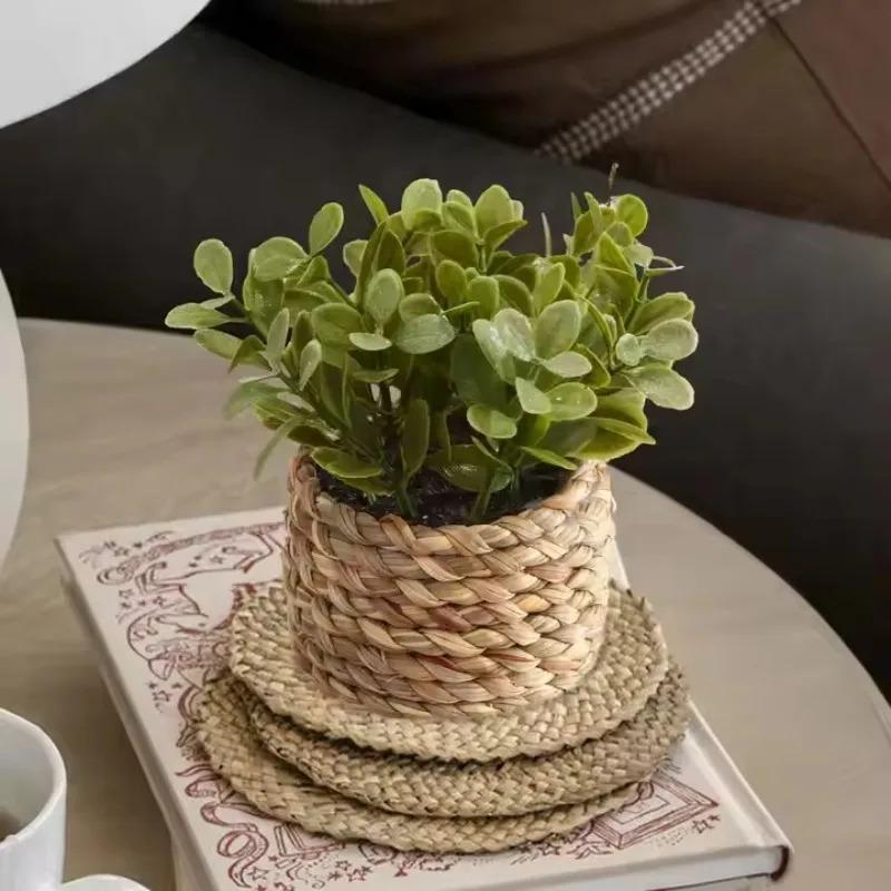 1Pc Potplant Kleine Nepplanten - Home Office Layout recensie en prijs