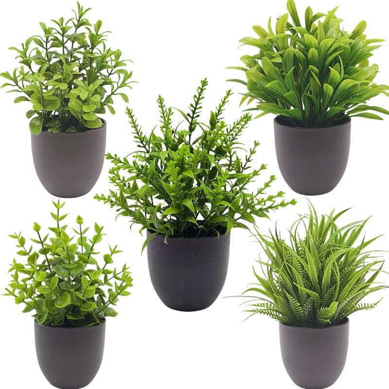 Simulatie Groene Plant Bonsai  - Home Office Layout recensie en prijs